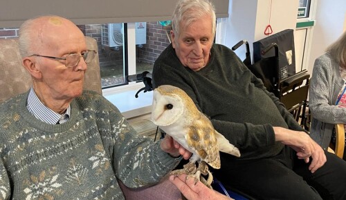 487119561 969594298687978 8756455663331195907 n