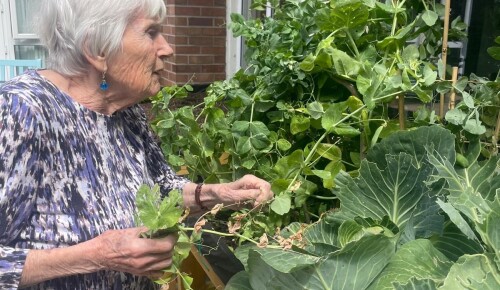 504432033 1048978074082933 4607617543858975343 n