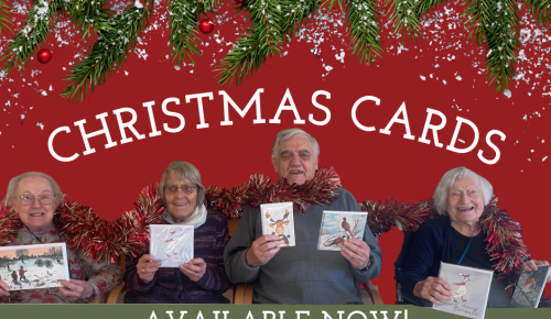 christmas cards available now!
